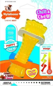 Freezable Nylabone Puppy Chew Color Changing Chill N Chew Bone - Mini Souper