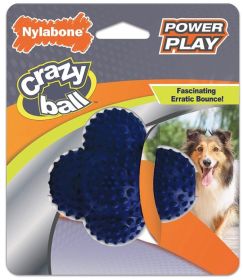 Interactive Nylabone Power Play Crazy Ball Dog Toy Large Perfect for All Dogs