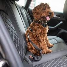 "GF Pet Seat Belt Tether" For Dogs Safety