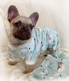 "Bedtime Bears Pajamas" Adorable Klippo Pet Ultra Soft Plush Minky  - Green (size 6: XSmall)
