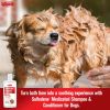 Shampoo Sulfodene Medicated With Soothing Aloe Vera Stops Itching and Flaking