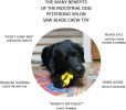 "ID Circular Saw Blade" by Soda Pup Ultra Durable Nylon Dog Chew Toy