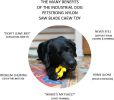 "Dog Durable Chew Toy" by Soda Pup