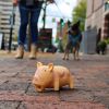 "Dog Latex Rascals Grunting Pig Toy" by Coastal Pet