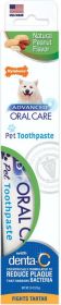Nylabone Advanced Oral Care Natural Toothpaste - Peanut Flavor
