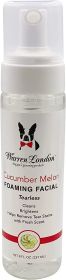 Warren London 8 Oz Cucumber Melon Foaming Facial Cleanser