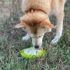 "eTray Enrichment Tray for Dogs" by Soda Pup Slow Feeder