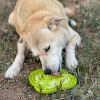 "eTray Enrichment Tray for Dogs" by Soda Pup Slow Feeder