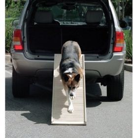 PetStep Folding Dog Ramp For Senior Dogs