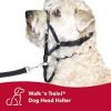 "Head Halter" by Coastal Pet Walk'n Train For Large Powerful Dogs
