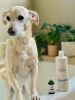 "Treat Your Pet With Miracolo Oil" by Spina Organics