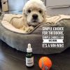 "Treat Your Pet With Miracolo Oil" by Spina Organics