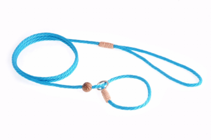 "Slip Lead With Stopper" by Allvalley LLC Nylon for Dogs - Tourquoise (Color: Turquoise: 4 ft x 1/8 in)
