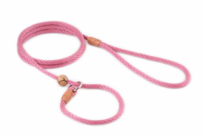 "Nylon Slip Lead With Stopper" by Alvalley LLC for Dog's - Wild Rose (Color: Wild Rose: 4 ft x 1/8 in)