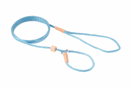 "Slip Rope Lead" by Alvalley With Stopper for Dogs - Sky Blue (size 4: 4 ft x 1/8 in)