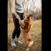 K9 Sport Lightweight Dog Backpack Carrier