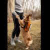 "Harness & Storage" by K9 Sport Sack Walk-on with Sunset Orange