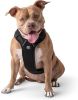 GF Pet Travel Harness for Cars - Black