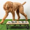 "Pet Feeder Handmade" Wood & Metal Elevated  by GF Pet