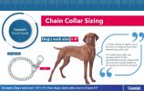 Titan Choke Chain Training Collar - X-Heavy Perfect for Training