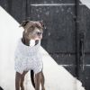 GF Pet Chalet Dog Sweater - Grey