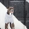 "Chalet Dog Sweater" by GF Pet - Grey