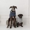 "Chalet Dog Sweater" by GF Pet - Grey