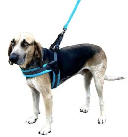 Sporn Easy Fit Dog Harness One Piece Design Superior Comfort - Blue (Size-3: Large 1 count)