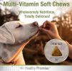 Multi-Vitamin Supplement for Dogs by Four Paws - Chicken Flavored