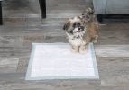 "Dog Training Pads" by Hartz Home Protection Turns Urine Into Harmless Gel