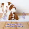 Hartz Home Protection Lavender Scent Odor Eliminating Dog Pads - Regular