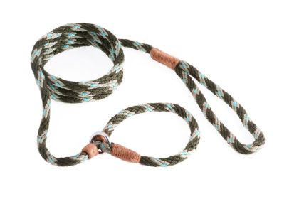 Alvalley Nylon Slip Lead With Stopper Dog (Color: Green Combination)