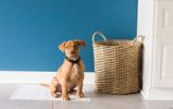 Super Absorbent Precision Pet Little Stinker Housetraining Dog Pee Pads