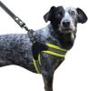 Easy Fit Dog Harness by Sporn - Breathable